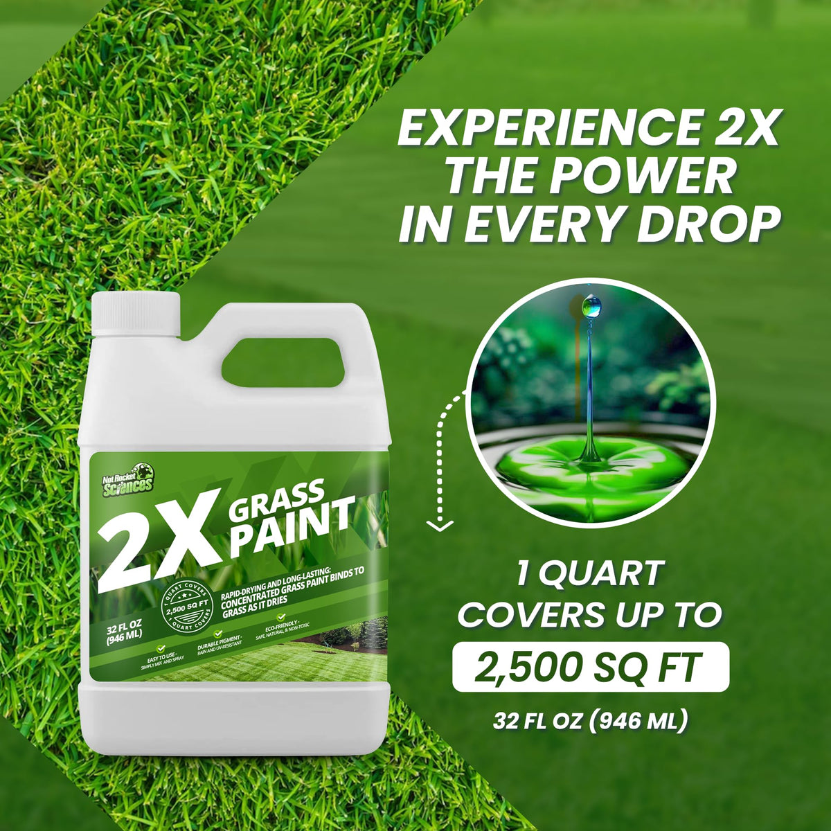 Not Rocket Sciences 2X grass paint demonstrates uniform lawn coverage across treated areas.