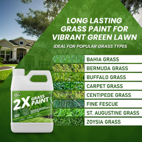 Not Rocket Sciences lawn quick-dry finish after application on sun-exposed turf.
