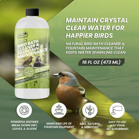 Not Rocket Sciences bird bath cleaner enzymes action demonstrates natural enzymatic cleanup