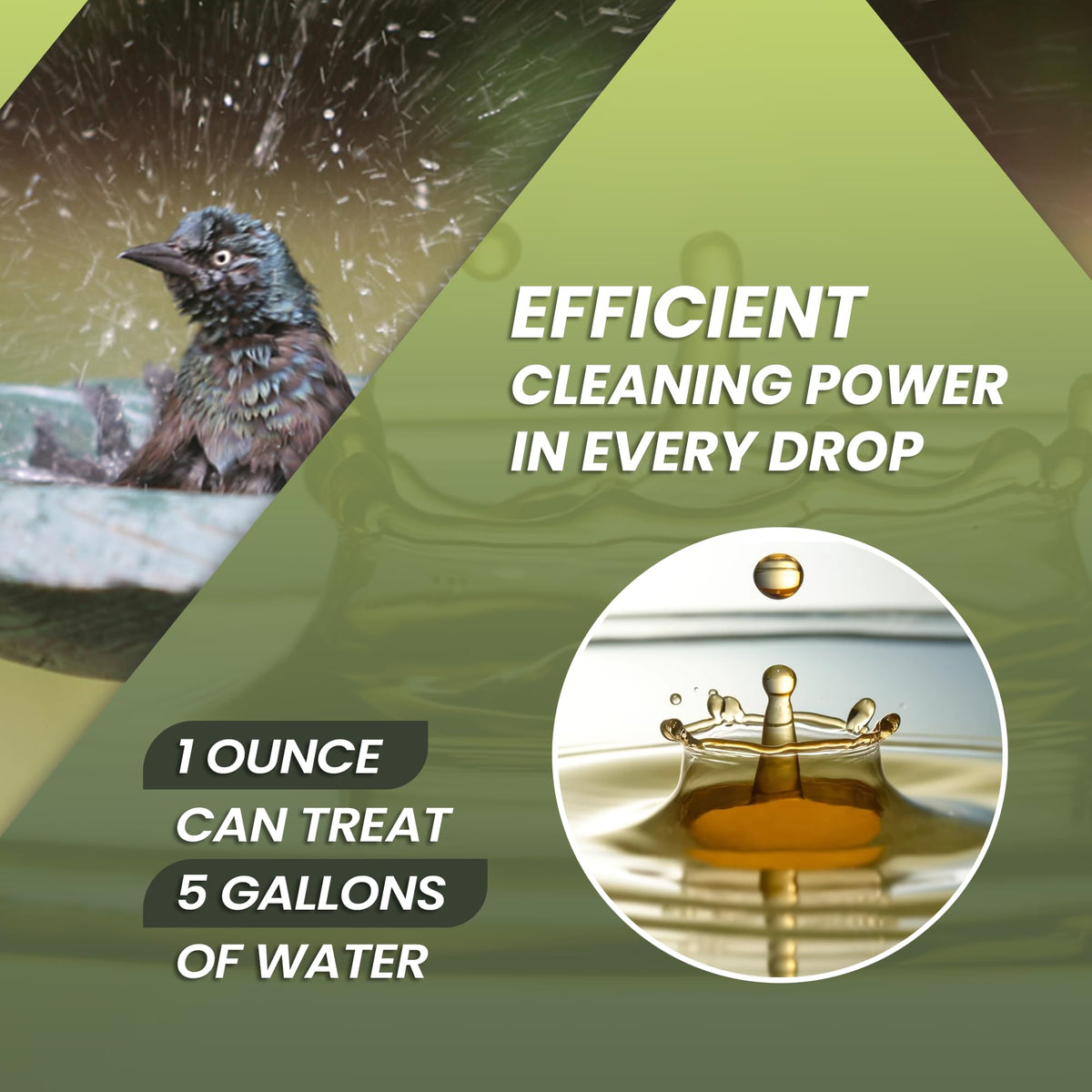 Not Rocket Sciences bird bath cleaner user application shows simple pour over use