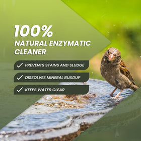Not Rocket Sciences bird bath cleaner fountain water clarity image highlights clearer water