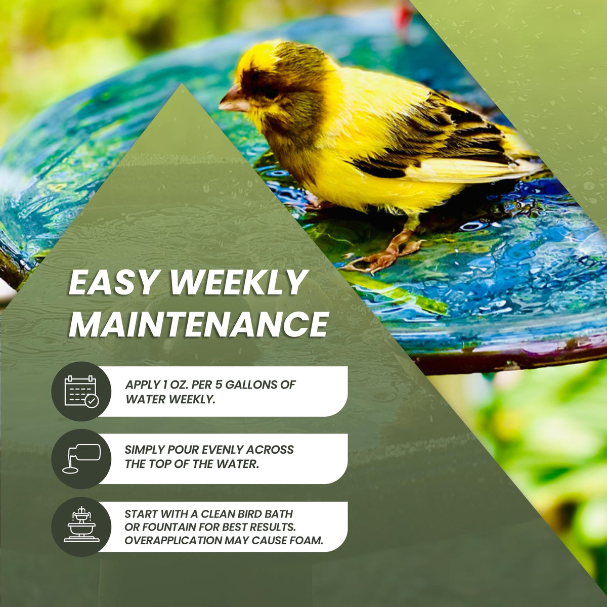 Not Rocket Sciences bird bath water quality before after depicts improved water appearance