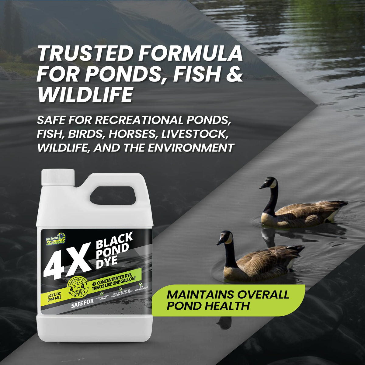 Not Rocket Sciences black pond dye shields sunlight on water surface