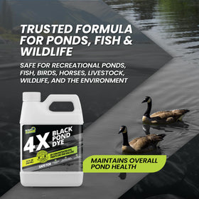 Not Rocket Sciences black pond dye shields sunlight on water surface