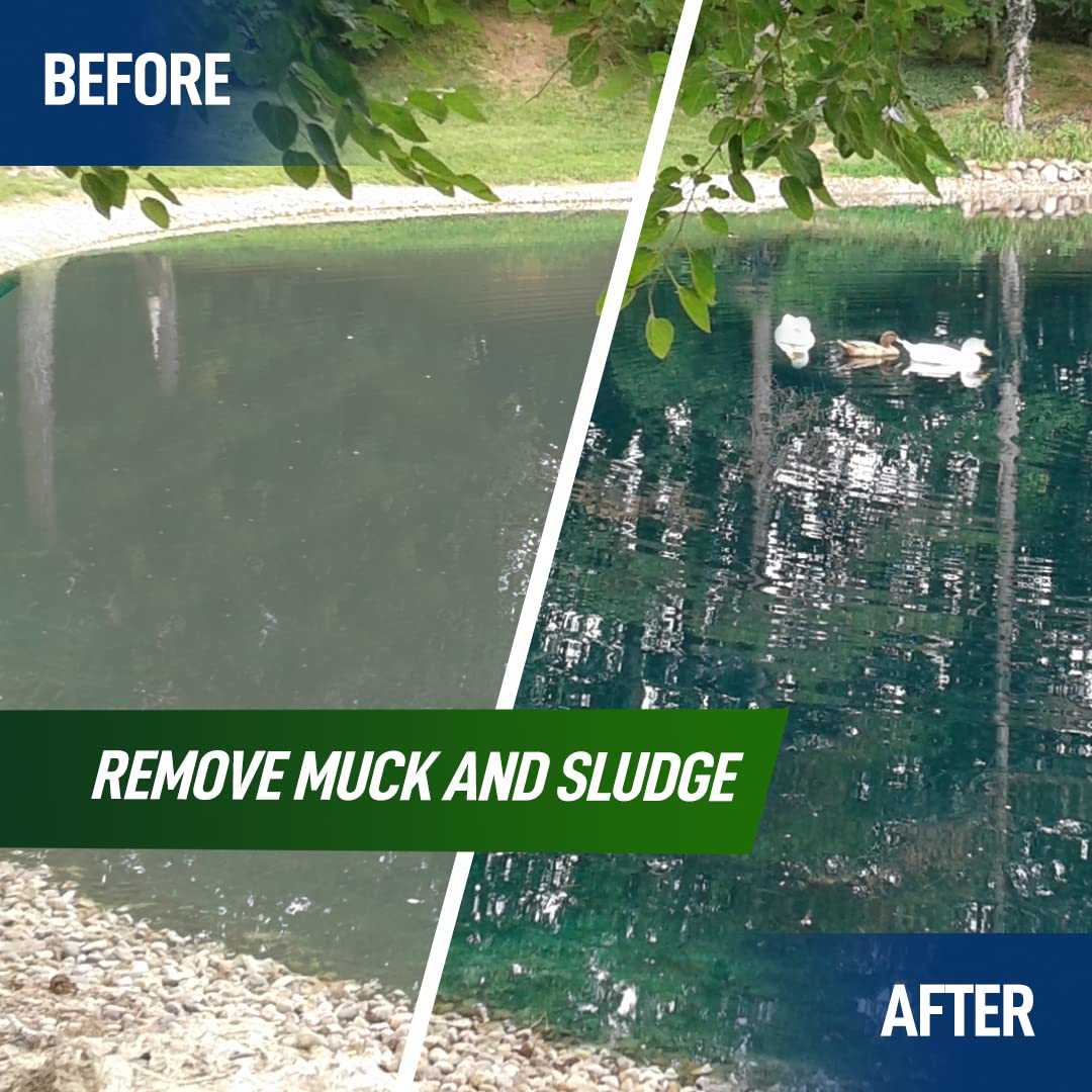 Not Rocket Sciences pond clarity enzyme action reveals clearer water with reduced muck