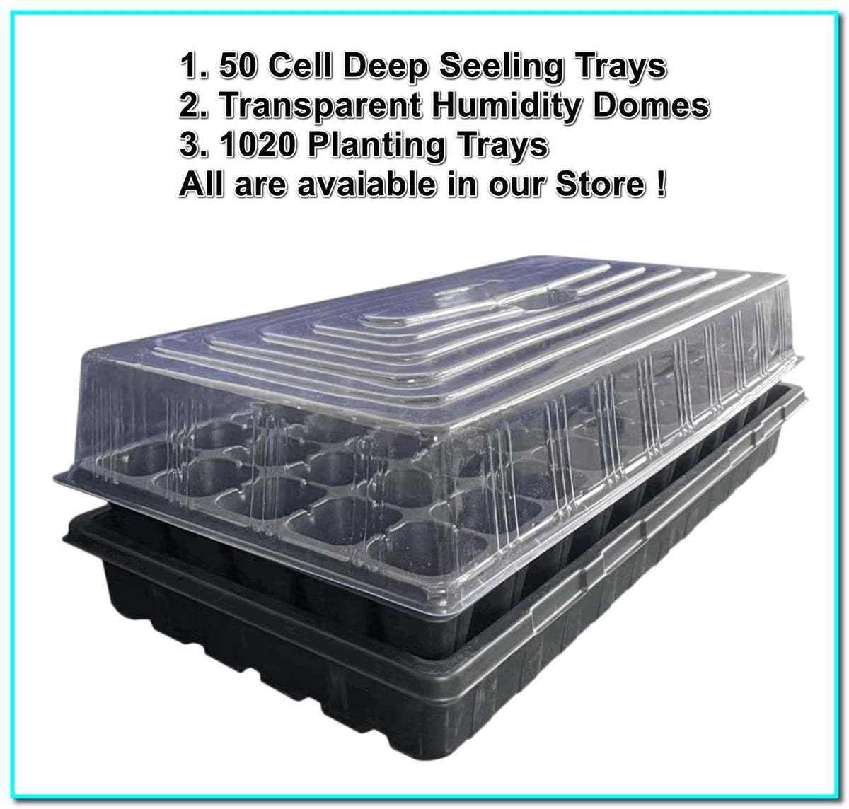 NOTHERS tray bottom with drainage holes to help prevent overwatering