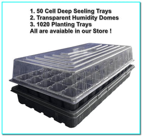 NOTHERS tray bottom with drainage holes to help prevent overwatering