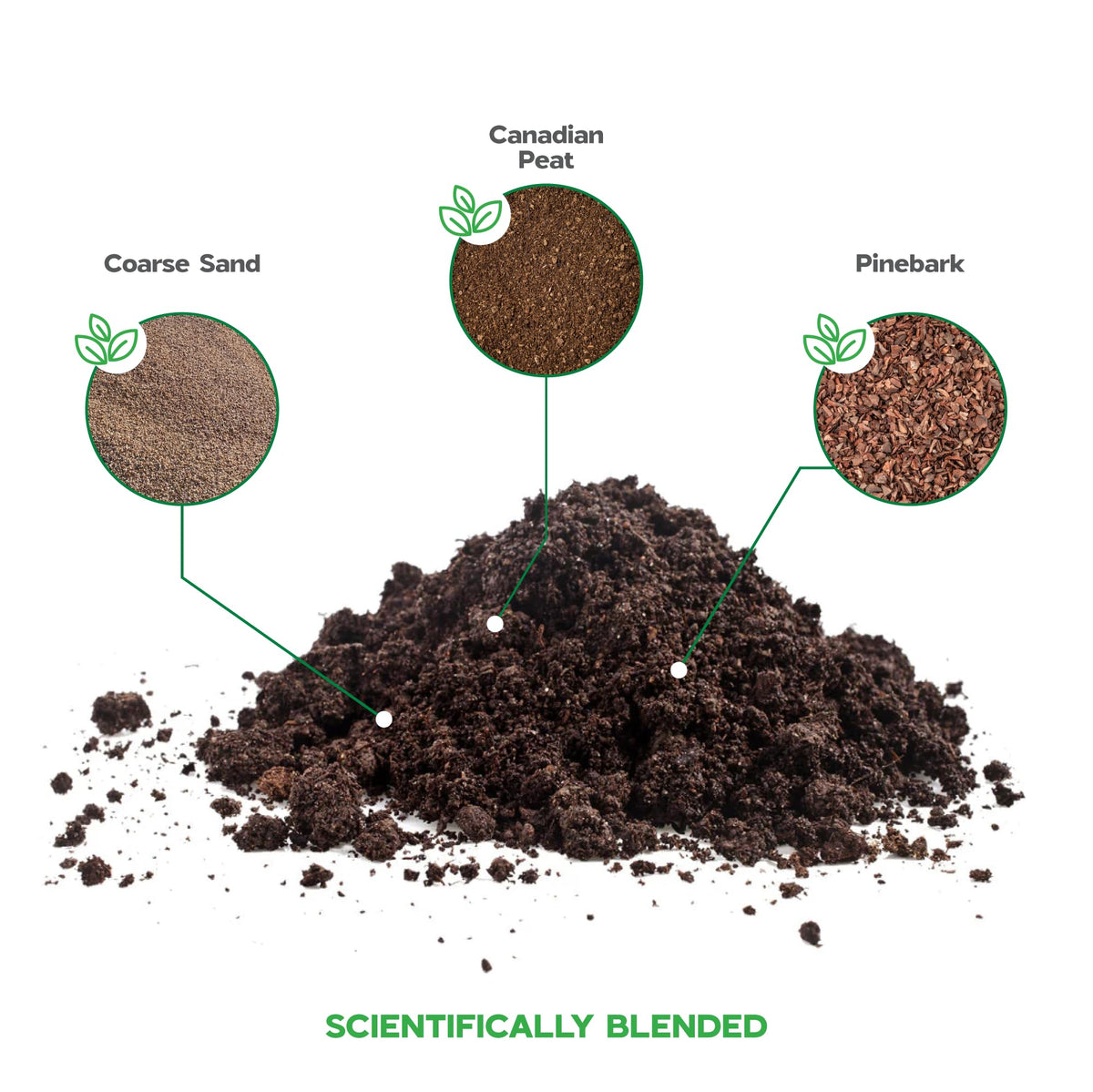 NOVA-TERRA Aloe Vera Seedling Soil aids early establishment for young plants.