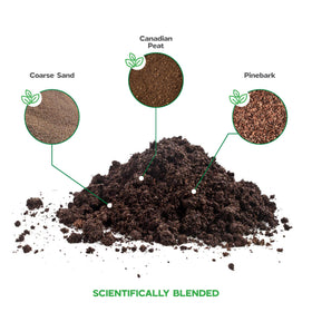 NOVA-TERRA Aloe Vera Seedling Soil aids early establishment for young plants.