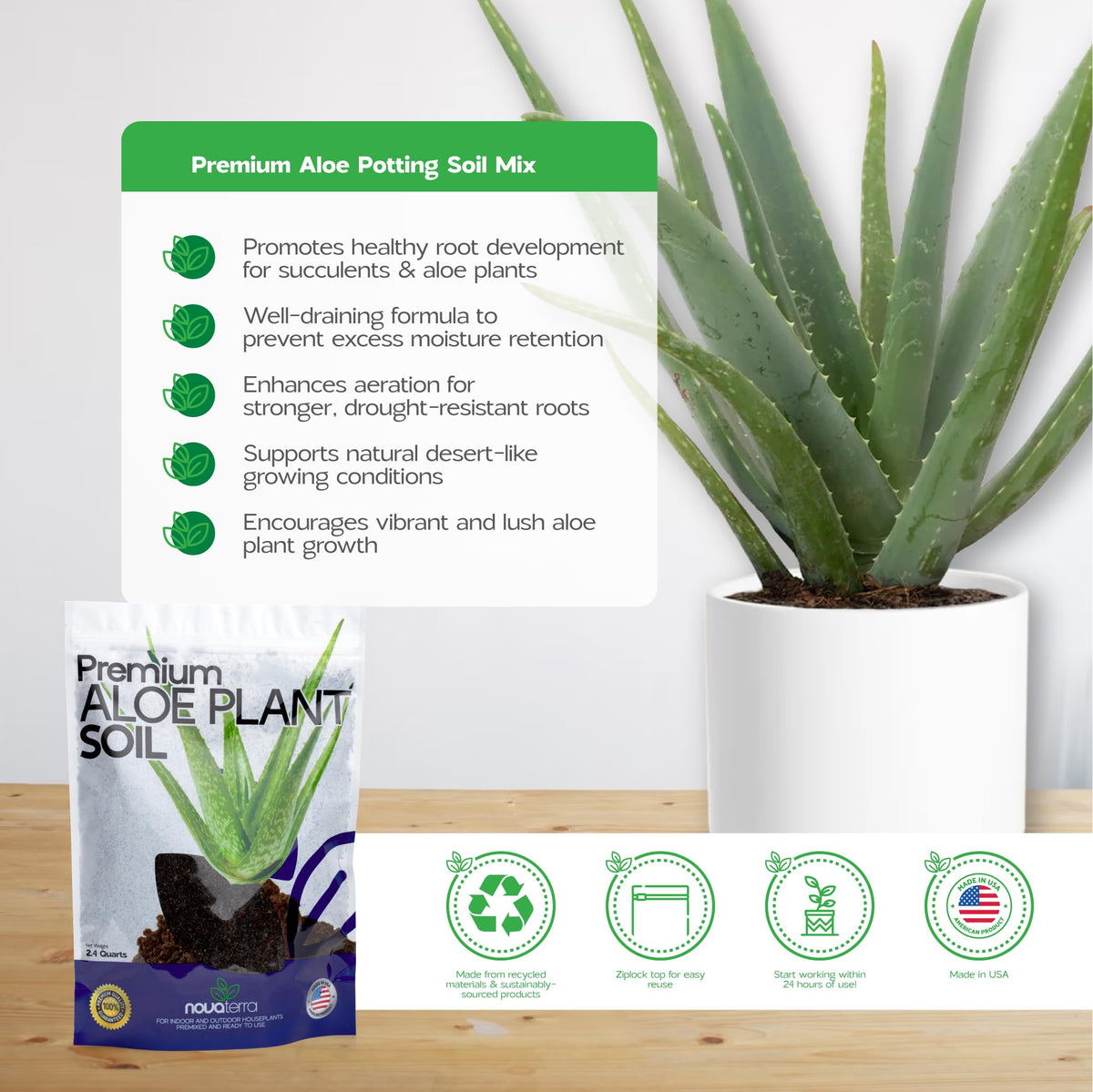 NOVA-TERRA Cactus Potting Mix bag supports robust growth for succulents.