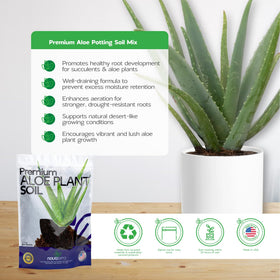 NOVA-TERRA Cactus Potting Mix bag supports robust growth for succulents.