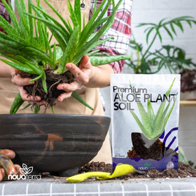 NOVA-TERRA Indoor Succulent Soil Mix showcases premium blend for healthy roots.