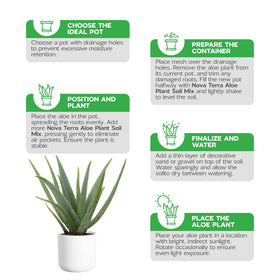 NOVA-TERRA Pine Bark and Canadian Peat blend enhances drainage.