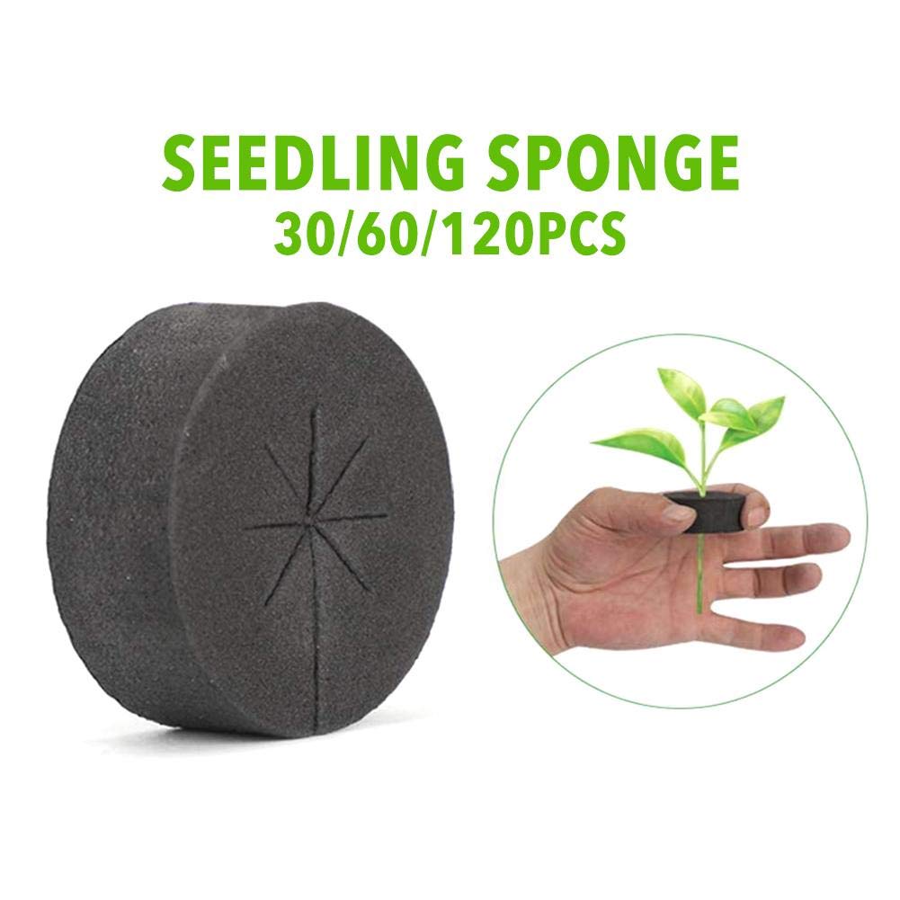 NOWHYX compatible with commercial cloning machines and nursery boxes.