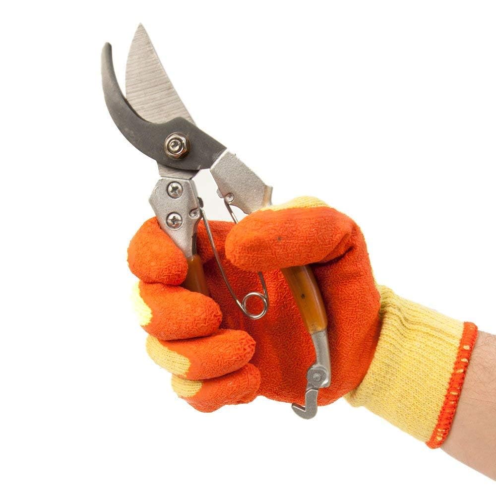 Multi-color Nozzy glove pack displayed for versatile use