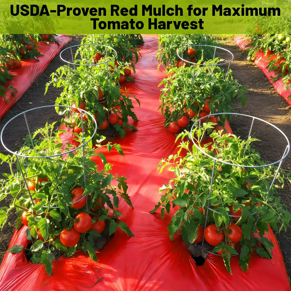 NRWRTY red mulch suited for tomatoes, peppers, strawberries in home gardens