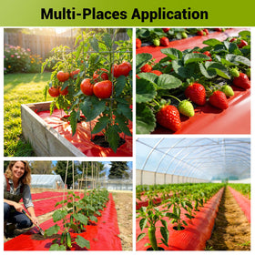 NRWRTY red mulch helps cut watering frequency with moisture retention