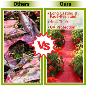 NRWRTY red mulch blocks sunlight to suppress weeds and warm soil