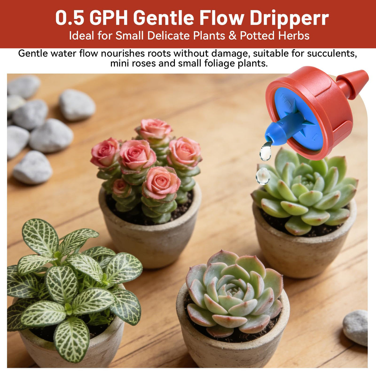 NRWRTY indoor desk planters setup with compact emitter for daily watering.