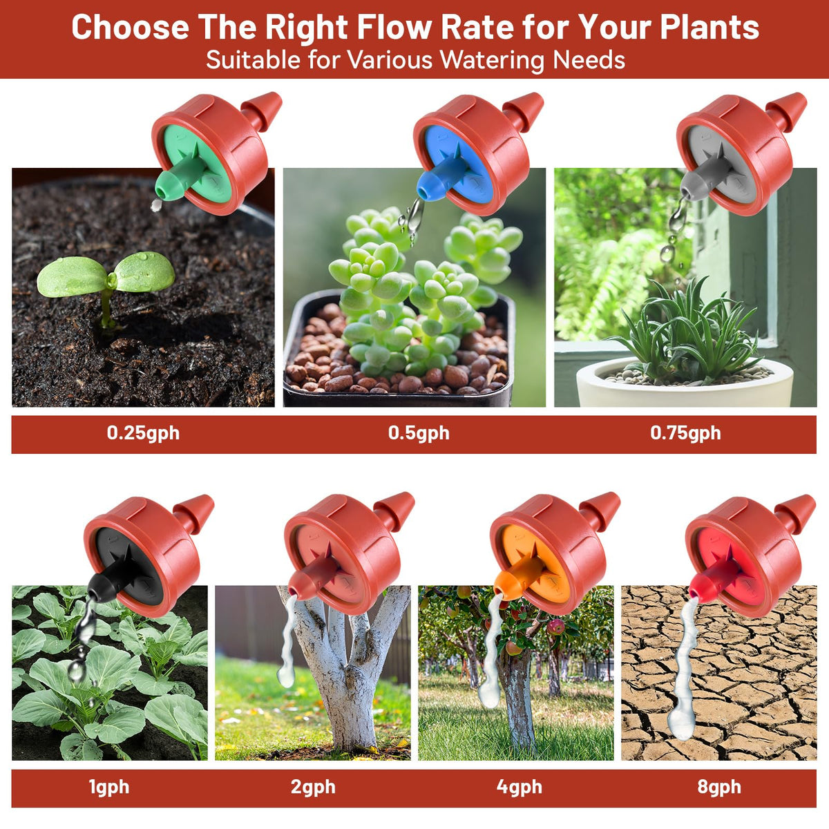 NRWRTY small potted flowers with reliable irrigation solution.
