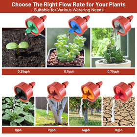 NRWRTY small potted flowers with reliable irrigation solution.