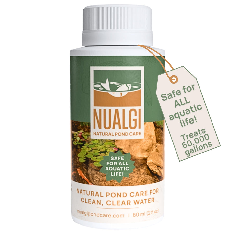 Nualgi Pond Care crystal water improves clarity for koi ponds and aquatic life.