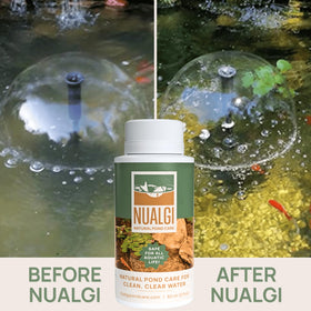 Nualgi Pond Care oxygen boost shows bubbles enhancing dissolved oxygen for healthier fish.