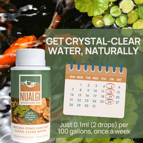 Nualgi Pond Care safe for all aquatic life ensures non-toxic treatment for fish and amphibians.