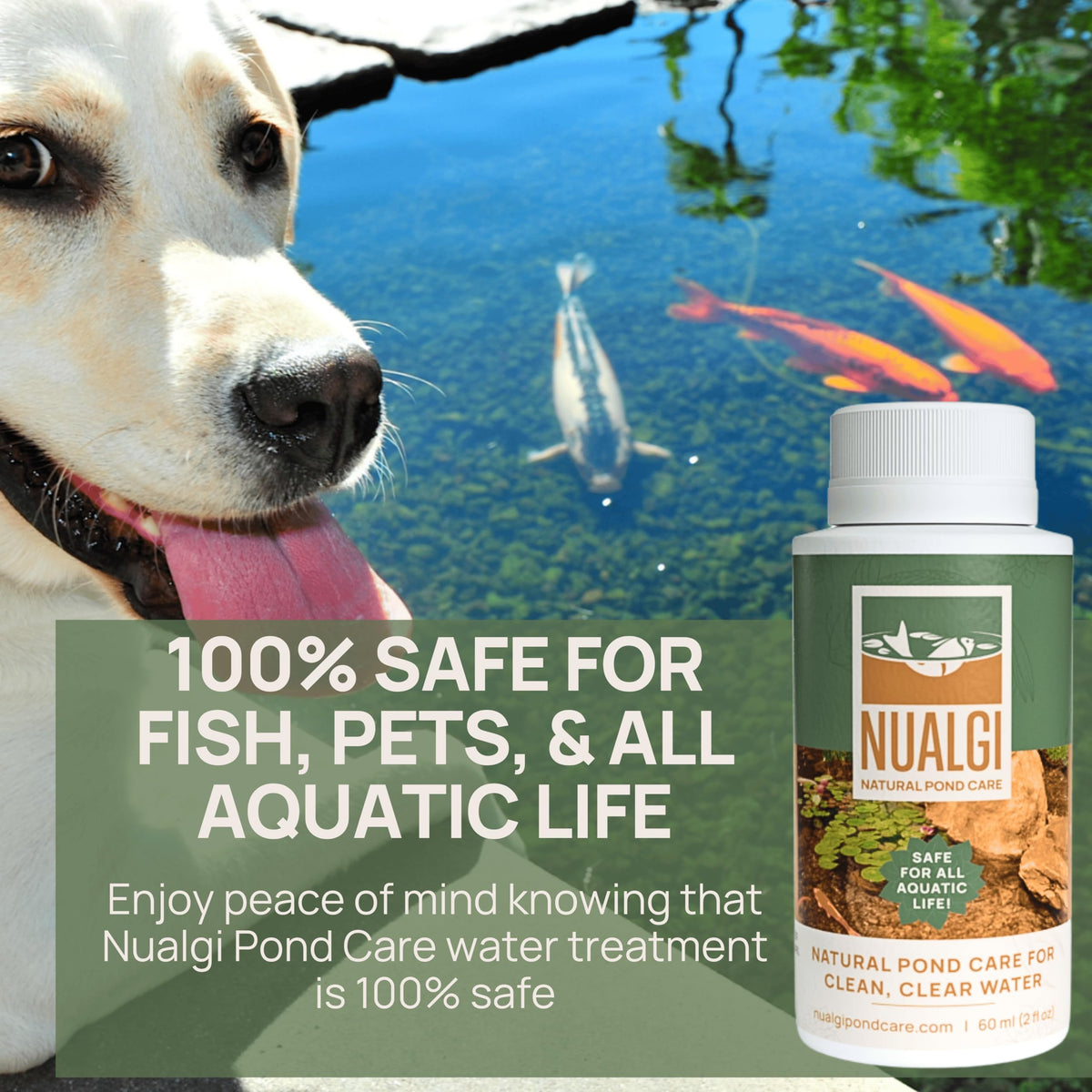 Nualgi Pond Care waste elimination accelerates digestion of waste and leftover food.