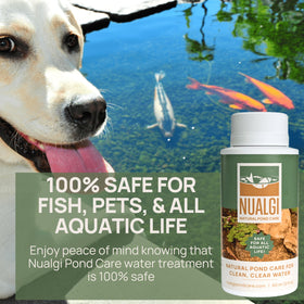 Nualgi Pond Care waste elimination accelerates digestion of waste and leftover food.