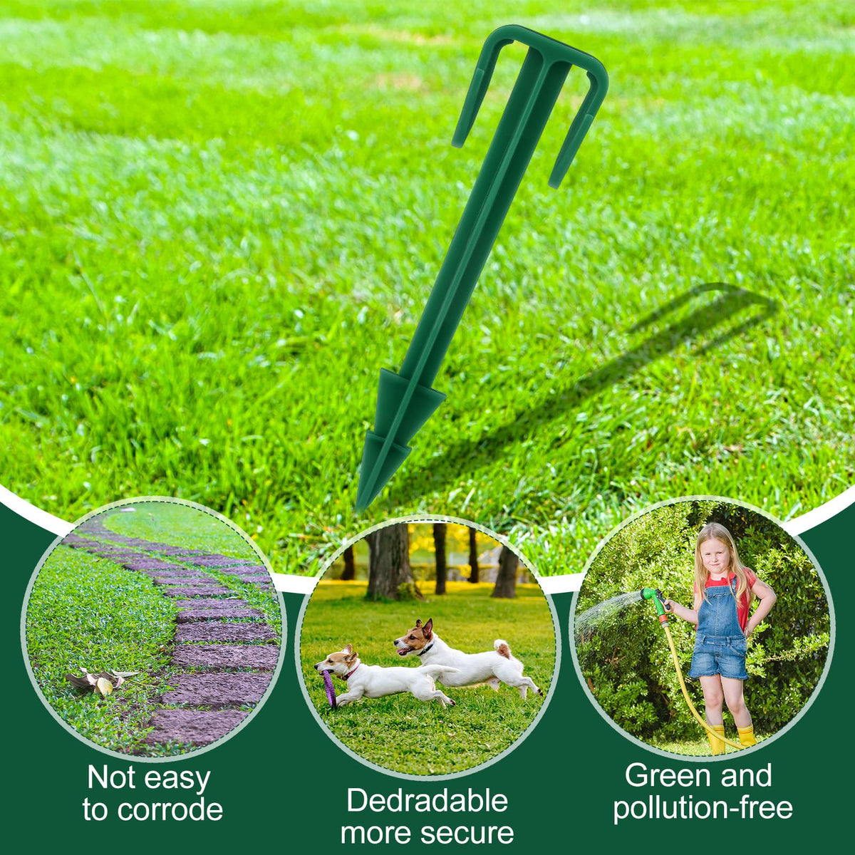 Nuanchu 4-inch stake beside ruler for scale reference.