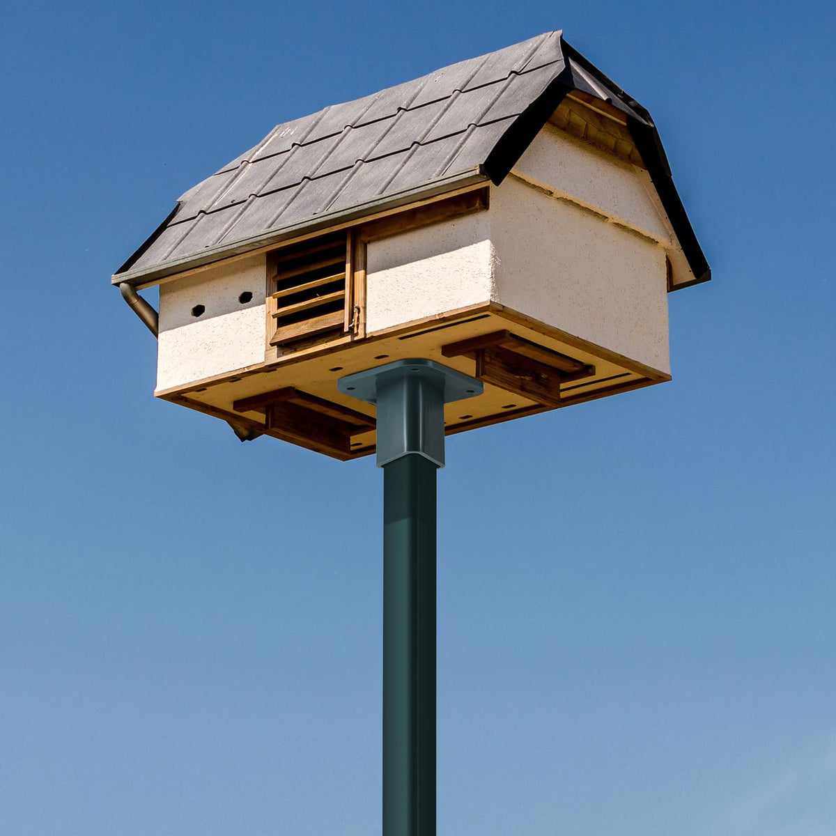 Nuanchu bird feeder mounted on fence post with mounting plate
