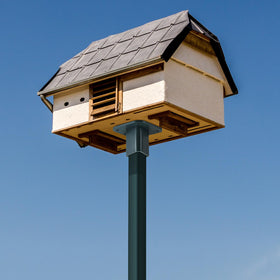 Nuanchu bird feeder mounted on fence post with mounting plate