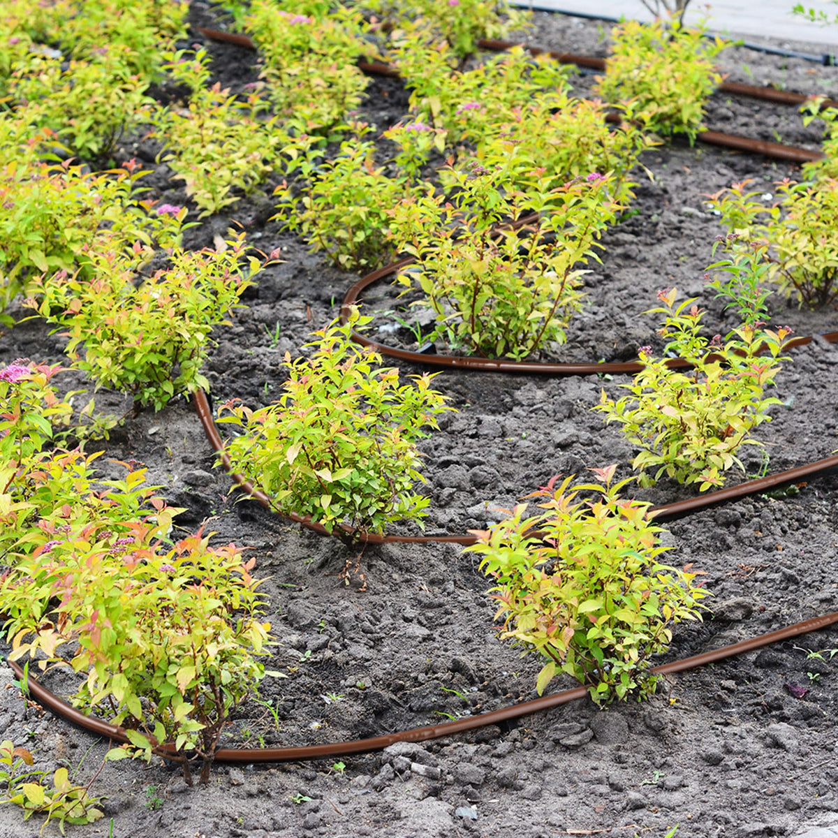 Nuanchu water-saving tubing ideal for narrow spaces and pots.