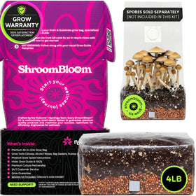 NuBlume 4lb grow bag ready for inoculation, built for high-yield harvests.