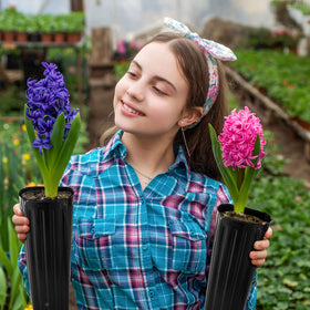 Nuenen 100-pcs seedling pots deliver ready-to-grow capacity for various plants.