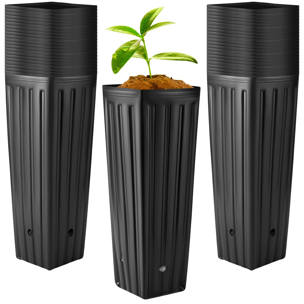 Nuenen tall tree pot with drainage holes supports healthy seedling growth.