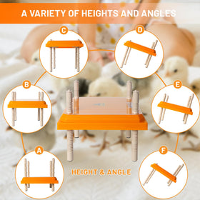 NUGRIART Brooder easy-clean design simplifies cleaning after use.