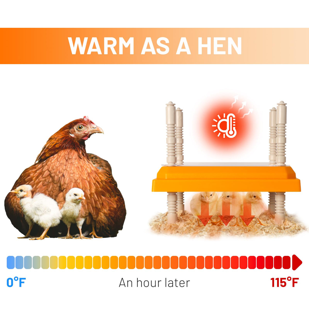 NUGRIART Brooder safety-energy-saving features support safe, cost-effective chick care.