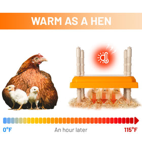 NUGRIART Brooder safety-energy-saving features support safe, cost-effective chick care.
