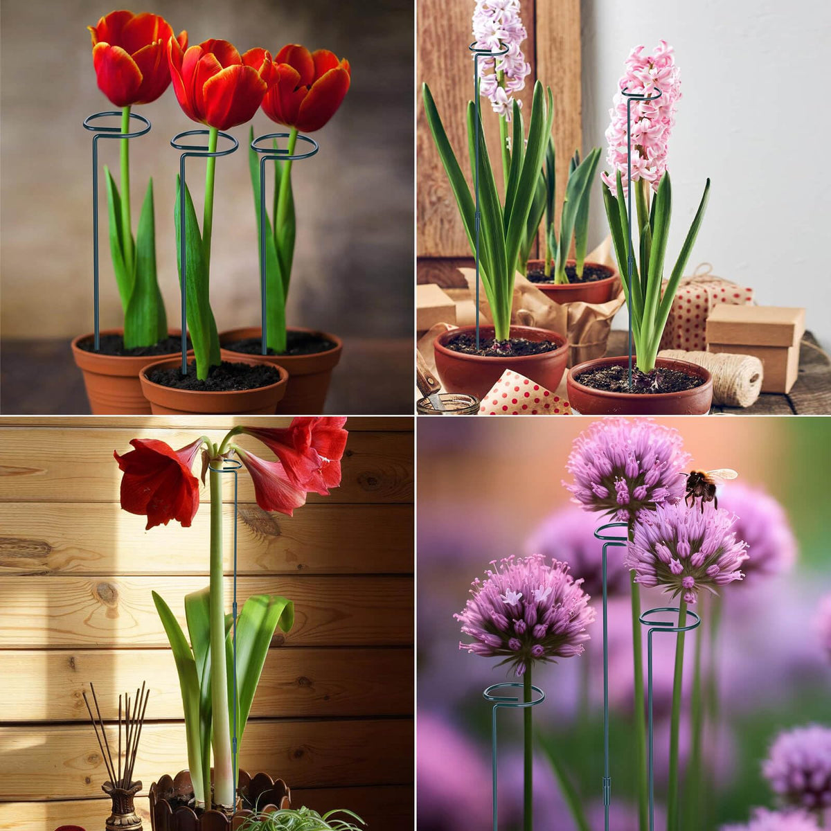 Numyew garden stake set suitable for indoor or outdoor use.
