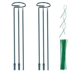 Numyew plant support stake with ring, 12-inch height for indoor tomatoes.