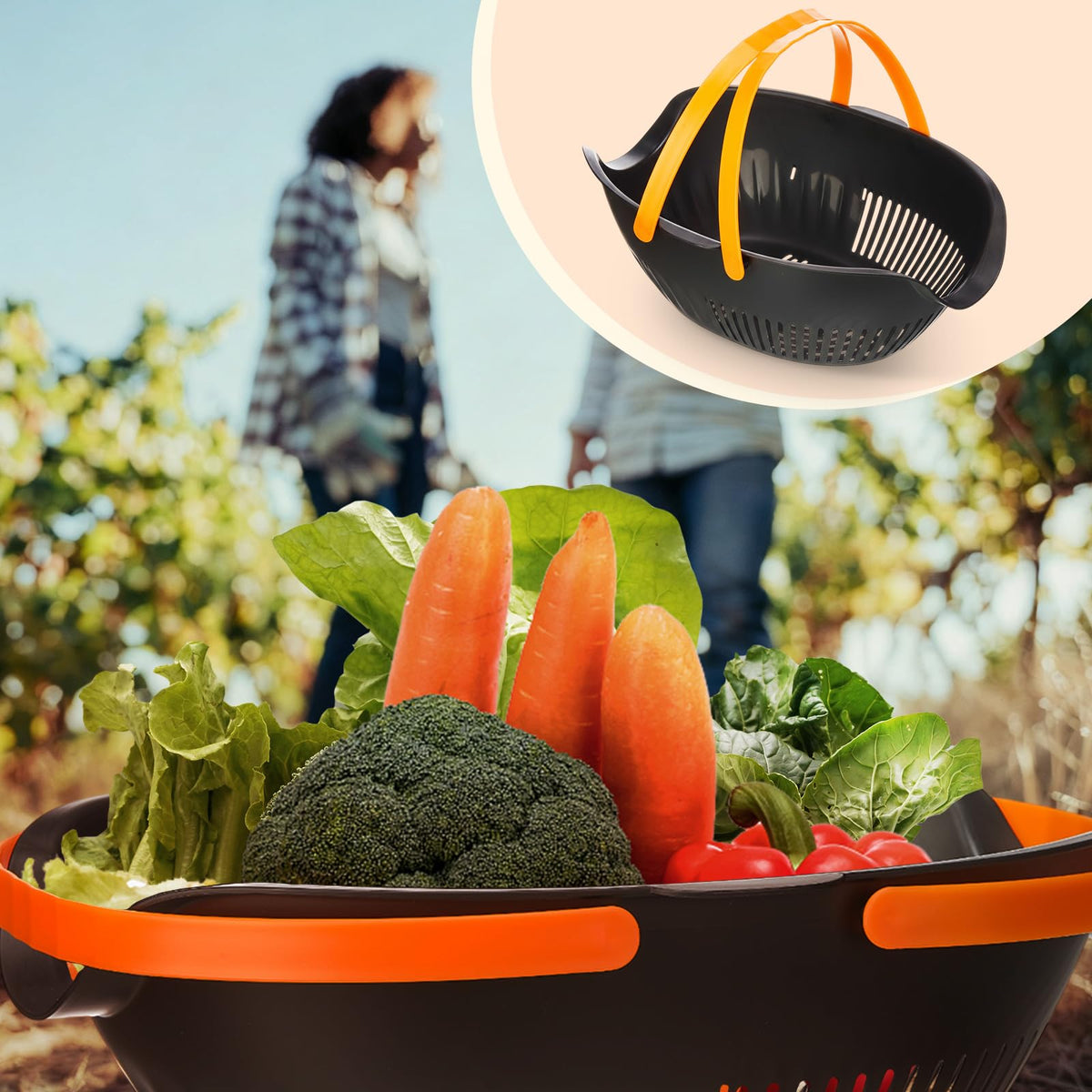 Nuogo 3-pack provides multiple baskets for harvesting and storage.