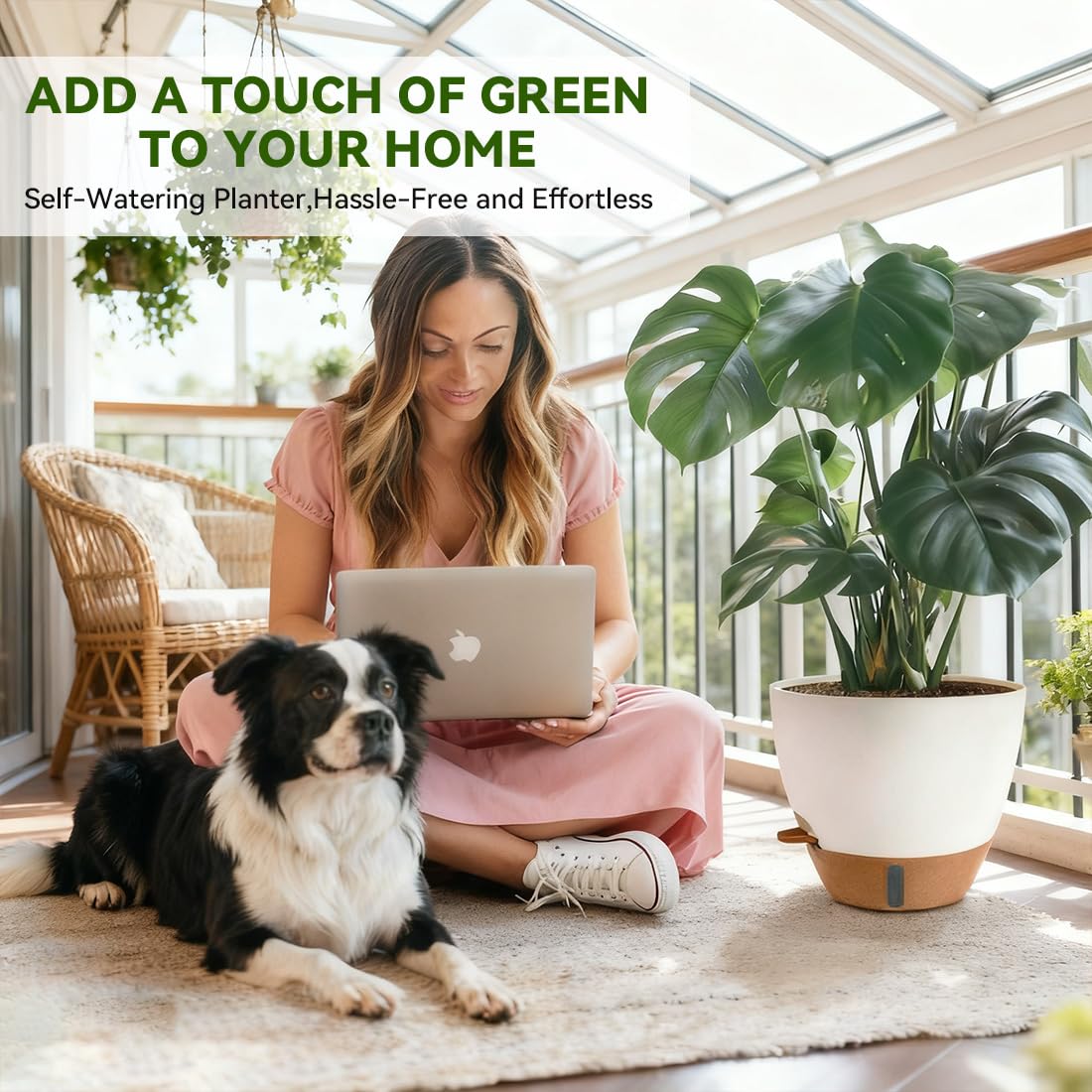 Nuotuv 8-inch pot features detachable base for easy cleaning and maintenance.