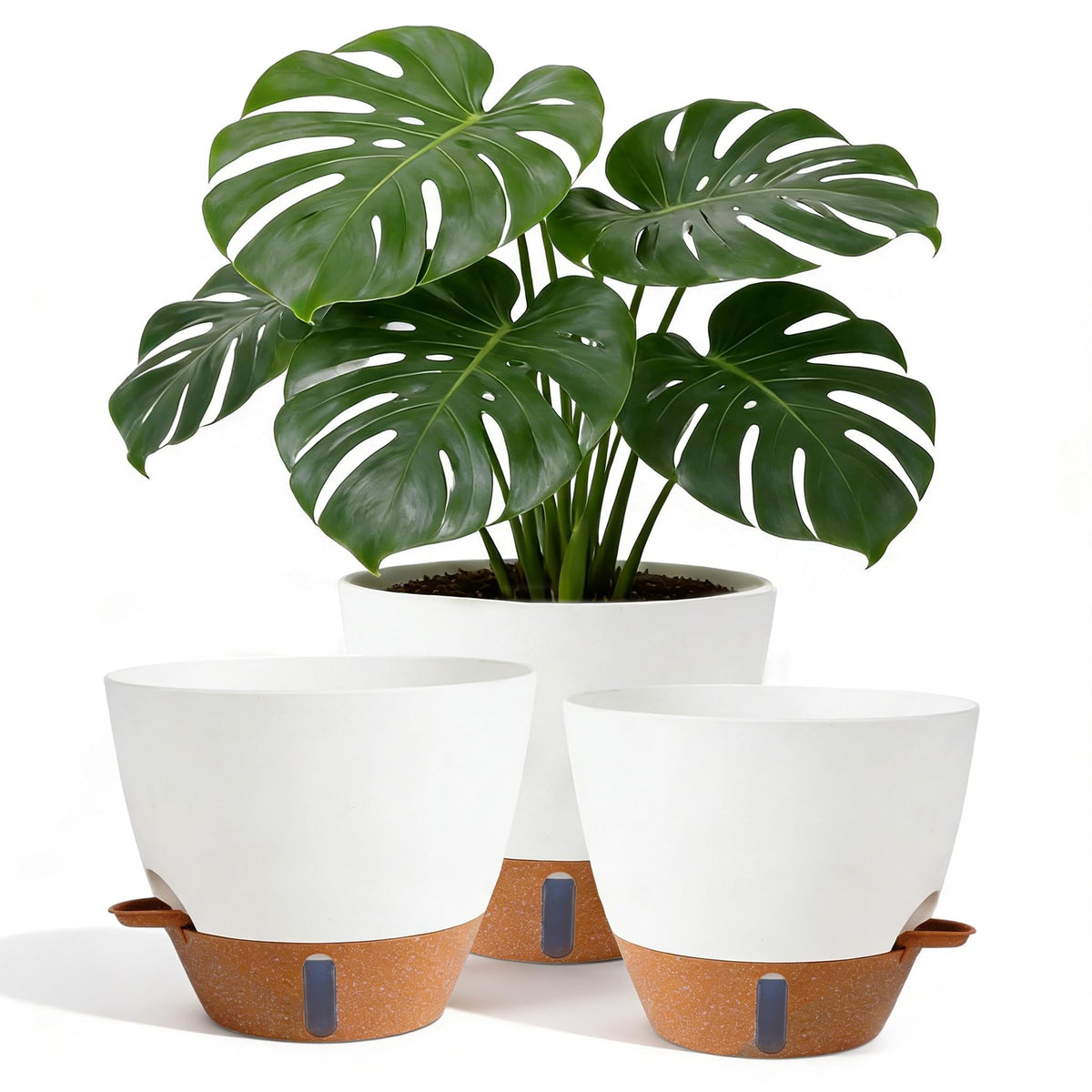 Nuotuv 8-inch self-watering pot with water level indicator for effortless hydration.