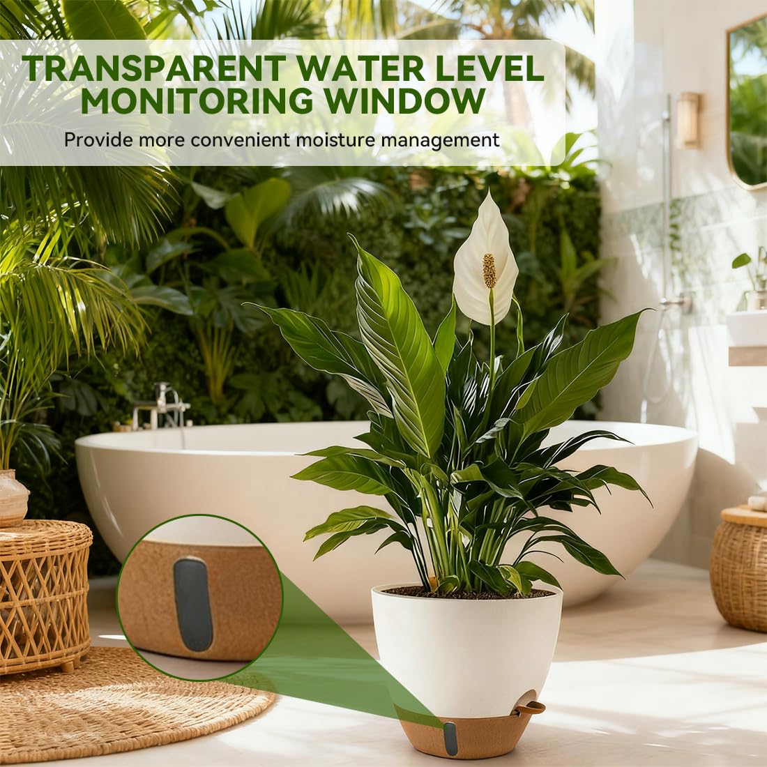 Nuotuv 9-inch self-watering pot with water indicator ideal for patios.