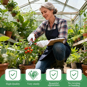 Nuotuv indoor-plant stake stabilizes pothos and philodendron with confidence