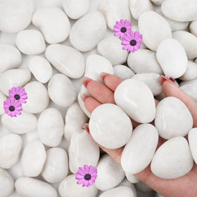 NUPICK 16lb white river rocks pack for plants enhances indoor arrangements.