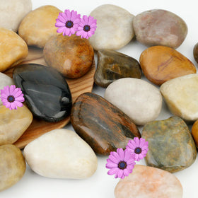 NUPICK 6lb river rocks for indoor plants, 2-3 inch, enhances color and moisture retention.