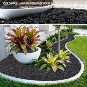 NUPICK lava rocks for aquariums offer inert filtration and natural look.